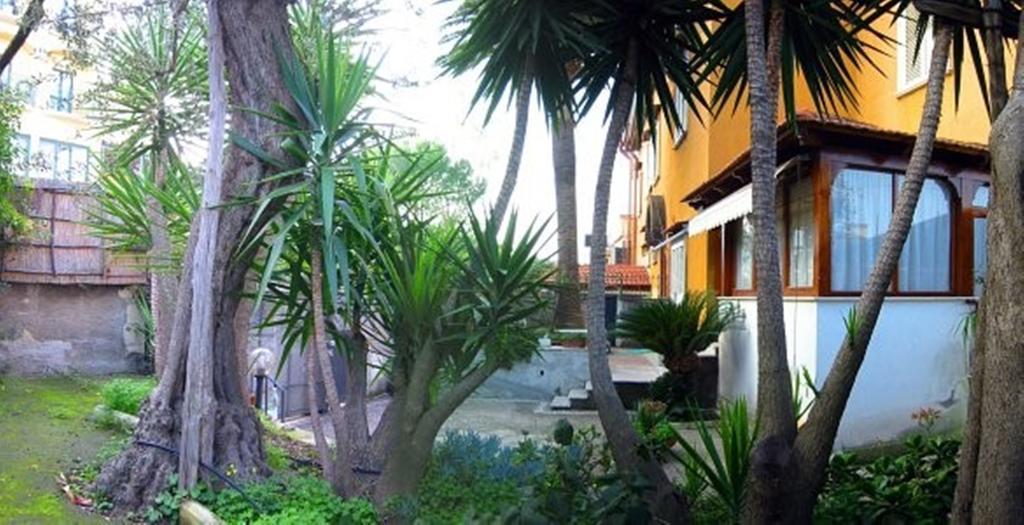 Orchidea * Sorrente