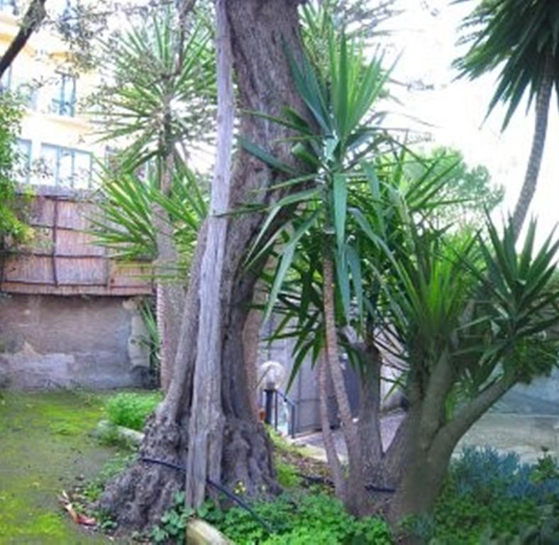 Orchidea Appart hôtel Sorrente